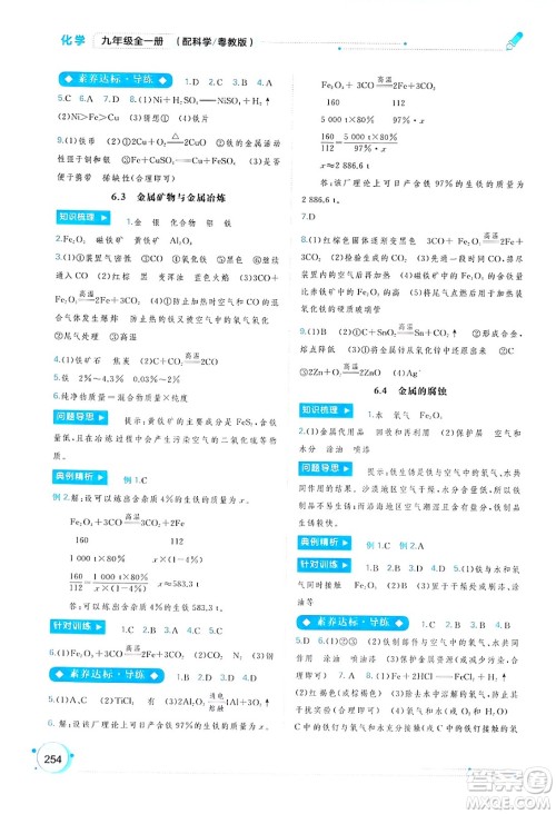 广西师范大学出版社2025年春新课程学习与测评同步学习九年级化学全一册科粤版答案