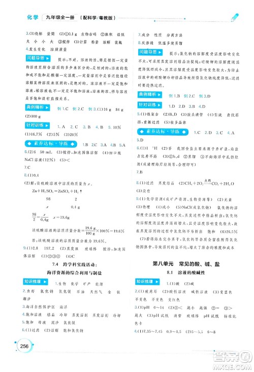 广西师范大学出版社2025年春新课程学习与测评同步学习九年级化学全一册科粤版答案