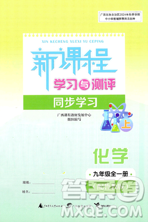 广西师范大学出版社2025年春新课程学习与测评同步学习九年级化学全一册鲁教版答案