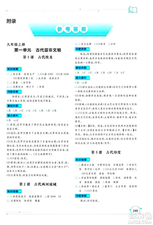 广西师范大学出版社2025年春新课程学习与测评同步学习九年级世界历史全一册通用版答案