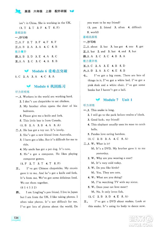 广西师范大学出版社2024年秋新课程学习与测评同步学习六年级英语上册外研版答案 广西师范大学出版社2024年秋新课程学习与测评同步学习六年级英语上册外研版答案