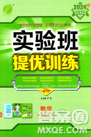 江苏人民出版社2024年秋春雨教育实验班提优训练八年级数学上册北师大版答案