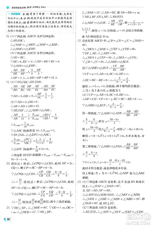 江苏人民出版社2024年秋春雨教育实验班提优训练九年级数学上册沪科版答案