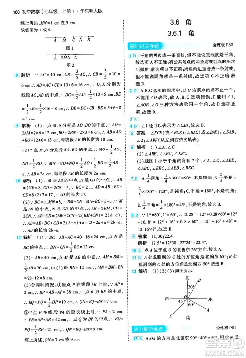 四川大学出版社2024年秋初中同步5年中考3年模拟七年级数学上册华师版答案