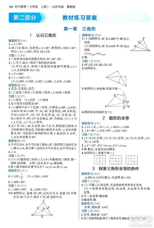 四川大学出版社2024年秋初中同步5年中考3年模拟七年级数学上册鲁教版山东专版答案