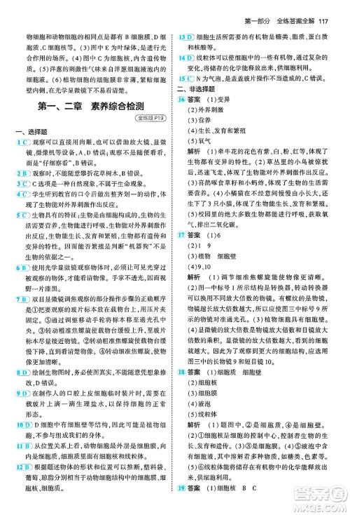 四川大学出版社2024年秋初中同步5年中考3年模拟七年级生物上册人教版答案