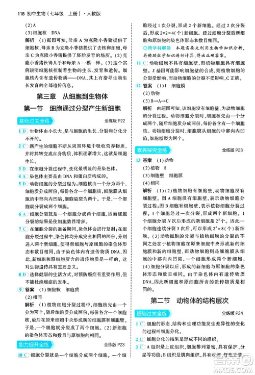 四川大学出版社2024年秋初中同步5年中考3年模拟七年级生物上册人教版答案