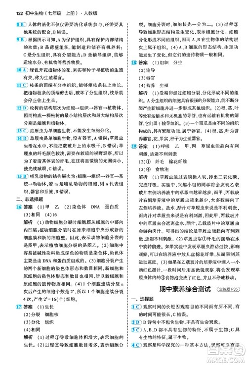 四川大学出版社2024年秋初中同步5年中考3年模拟七年级生物上册人教版答案