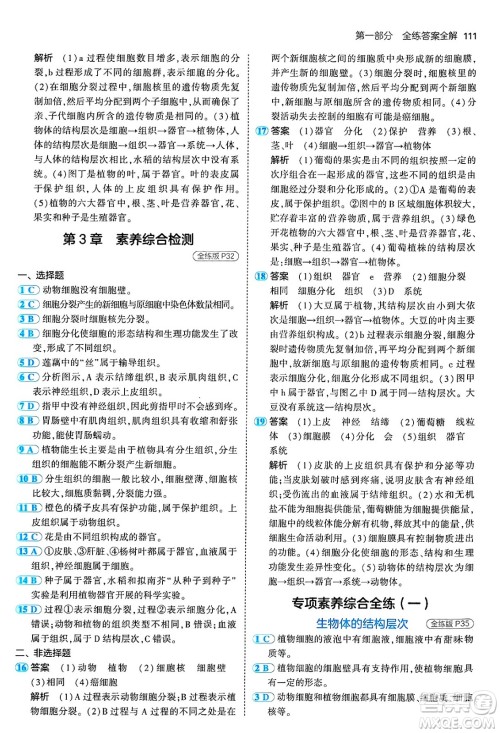 四川大学出版社2024年秋初中同步5年中考3年模拟七年级生物上册北师大版答案 四川大学出版社2024年秋初中同步5年中考3年模拟七年级生物上册北师大版答案