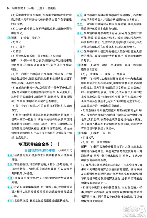 四川大学出版社2024年秋初中同步5年中考3年模拟七年级生物上册济南版答案 四川大学出版社2024年秋初中同步5年中考3年模拟七年级生物上册济南版答案