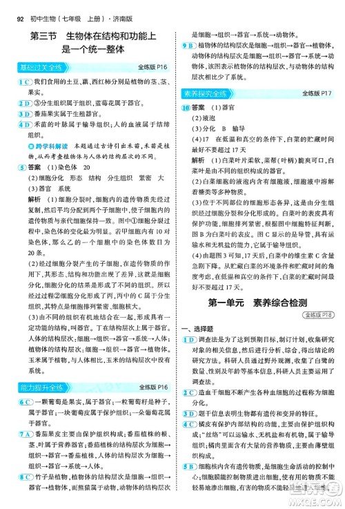 四川大学出版社2024年秋初中同步5年中考3年模拟七年级生物上册济南版答案