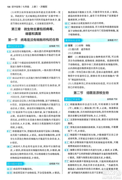 四川大学出版社2024年秋初中同步5年中考3年模拟七年级生物上册济南版答案