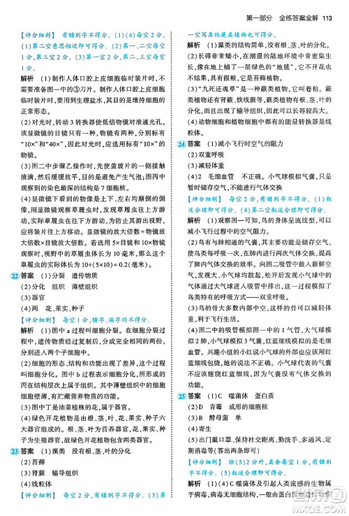 四川大学出版社2024年秋初中同步5年中考3年模拟七年级生物上册济南版答案 四川大学出版社2024年秋初中同步5年中考3年模拟七年级生物上册济南版答案