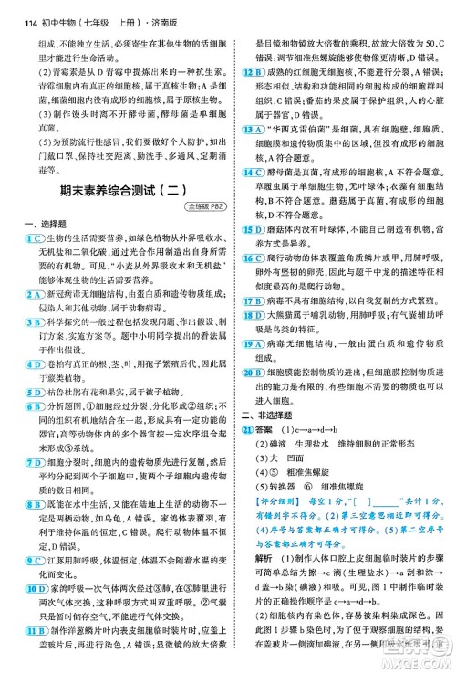 四川大学出版社2024年秋初中同步5年中考3年模拟七年级生物上册济南版答案