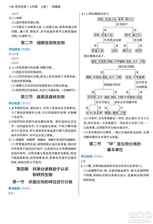 四川大学出版社2024年秋初中同步5年中考3年模拟七年级生物上册济南版答案