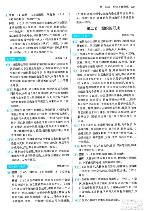 四川大学出版社2024年秋初中同步5年中考3年模拟七年级生物上册冀少版答案 四川大学出版社2024年秋初中同步5年中考3年模拟七年级生物上册冀少版答案