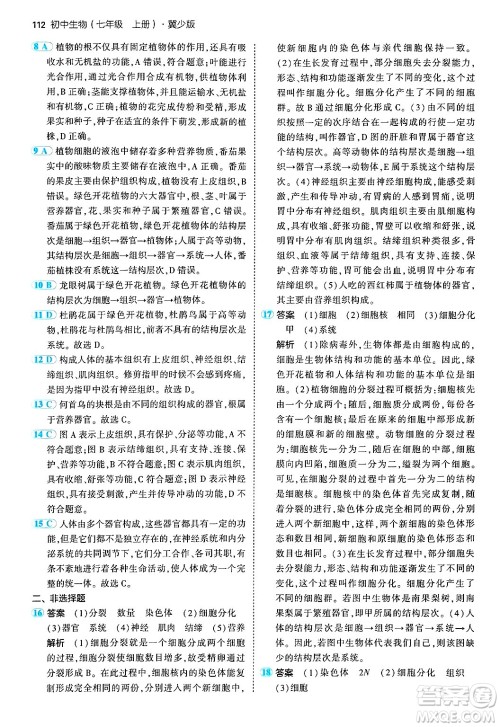 四川大学出版社2024年秋初中同步5年中考3年模拟七年级生物上册冀少版答案 四川大学出版社2024年秋初中同步5年中考3年模拟七年级生物上册冀少版答案