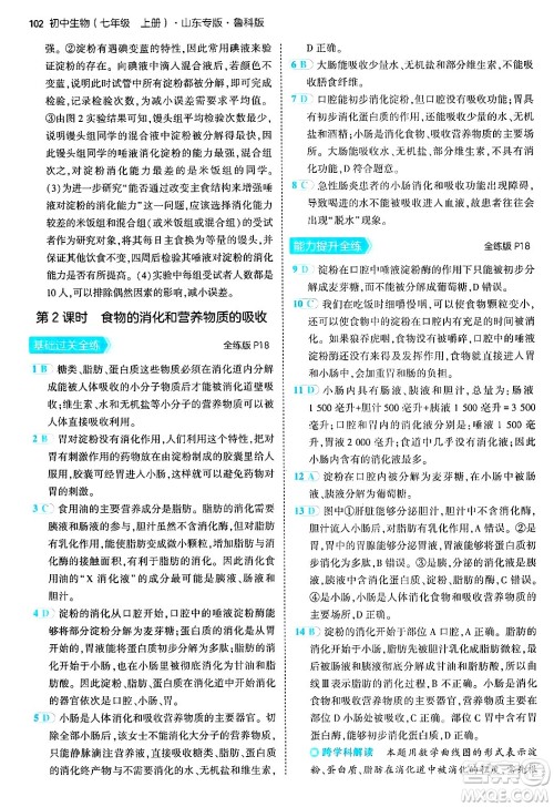首都师范大学出版社2024年秋初中同步5年中考3年模拟七年级生物上册鲁科版山东专版答案 首都师范大学出版社2024年秋初中同步5年中考3年模拟七年级生物上册鲁科版山东专版答案