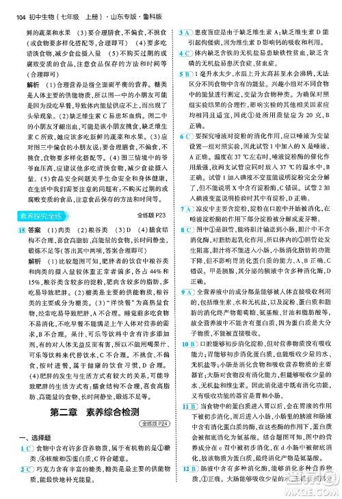 首都师范大学出版社2024年秋初中同步5年中考3年模拟七年级生物上册鲁科版山东专版答案 首都师范大学出版社2024年秋初中同步5年中考3年模拟七年级生物上册鲁科版山东专版答案