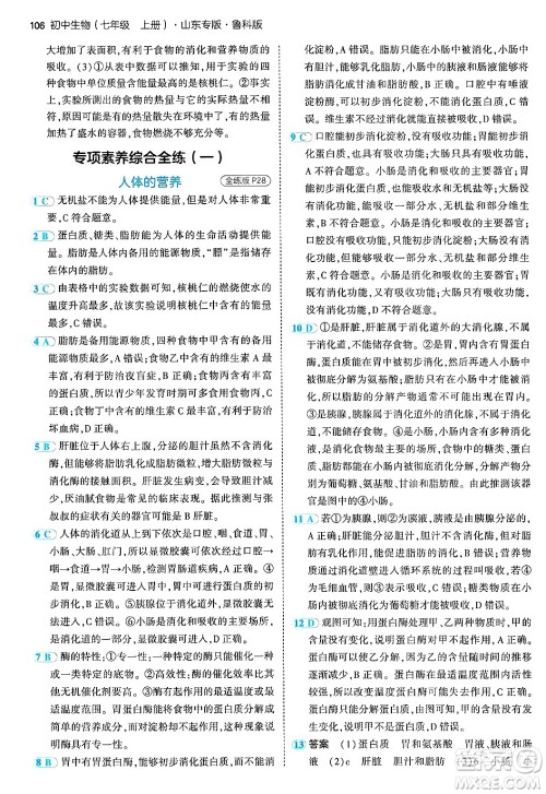 首都师范大学出版社2024年秋初中同步5年中考3年模拟七年级生物上册鲁科版山东专版答案 首都师范大学出版社2024年秋初中同步5年中考3年模拟七年级生物上册鲁科版山东专版答案
