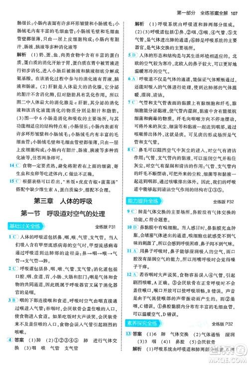 首都师范大学出版社2024年秋初中同步5年中考3年模拟七年级生物上册鲁科版山东专版答案 首都师范大学出版社2024年秋初中同步5年中考3年模拟七年级生物上册鲁科版山东专版答案