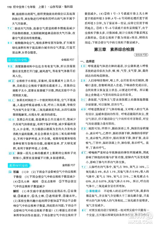 首都师范大学出版社2024年秋初中同步5年中考3年模拟七年级生物上册鲁科版山东专版答案 首都师范大学出版社2024年秋初中同步5年中考3年模拟七年级生物上册鲁科版山东专版答案