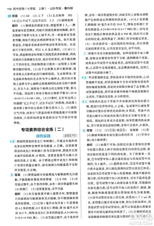 首都师范大学出版社2024年秋初中同步5年中考3年模拟七年级生物上册鲁科版山东专版答案 首都师范大学出版社2024年秋初中同步5年中考3年模拟七年级生物上册鲁科版山东专版答案