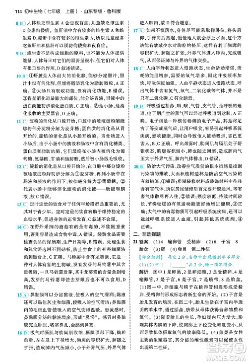 首都师范大学出版社2024年秋初中同步5年中考3年模拟七年级生物上册鲁科版山东专版答案 首都师范大学出版社2024年秋初中同步5年中考3年模拟七年级生物上册鲁科版山东专版答案