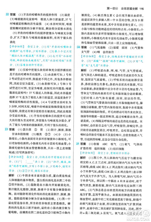 首都师范大学出版社2024年秋初中同步5年中考3年模拟七年级生物上册鲁科版山东专版答案 首都师范大学出版社2024年秋初中同步5年中考3年模拟七年级生物上册鲁科版山东专版答案