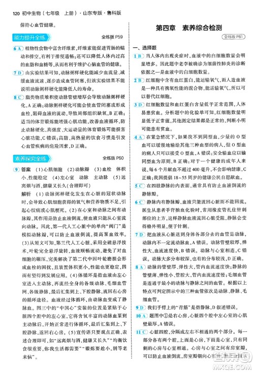 首都师范大学出版社2024年秋初中同步5年中考3年模拟七年级生物上册鲁科版山东专版答案 首都师范大学出版社2024年秋初中同步5年中考3年模拟七年级生物上册鲁科版山东专版答案