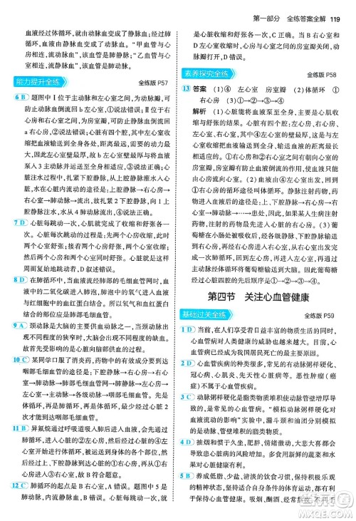 首都师范大学出版社2024年秋初中同步5年中考3年模拟七年级生物上册鲁科版山东专版答案 首都师范大学出版社2024年秋初中同步5年中考3年模拟七年级生物上册鲁科版山东专版答案