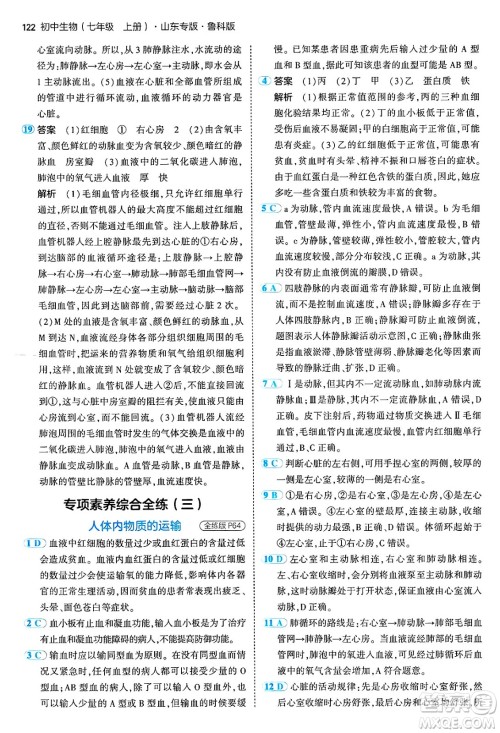 首都师范大学出版社2024年秋初中同步5年中考3年模拟七年级生物上册鲁科版山东专版答案 首都师范大学出版社2024年秋初中同步5年中考3年模拟七年级生物上册鲁科版山东专版答案