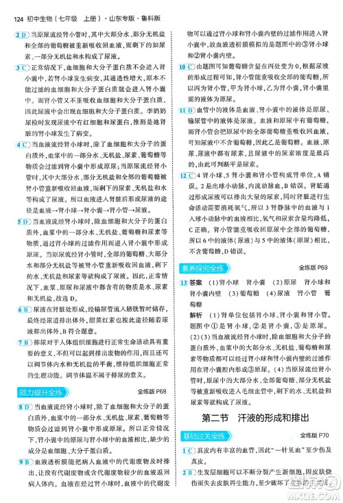 首都师范大学出版社2024年秋初中同步5年中考3年模拟七年级生物上册鲁科版山东专版答案 首都师范大学出版社2024年秋初中同步5年中考3年模拟七年级生物上册鲁科版山东专版答案