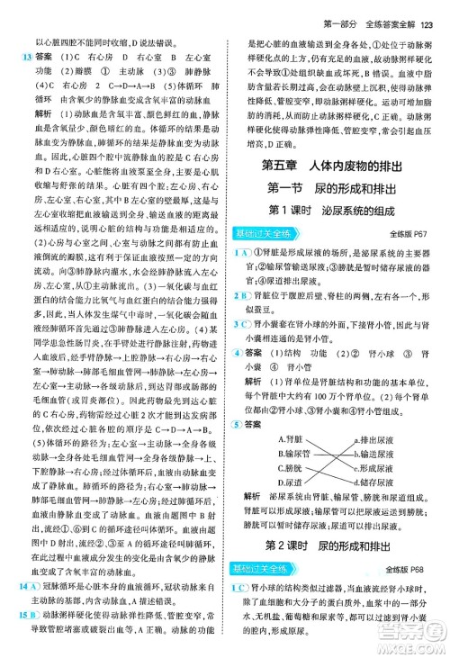 首都师范大学出版社2024年秋初中同步5年中考3年模拟七年级生物上册鲁科版山东专版答案 首都师范大学出版社2024年秋初中同步5年中考3年模拟七年级生物上册鲁科版山东专版答案