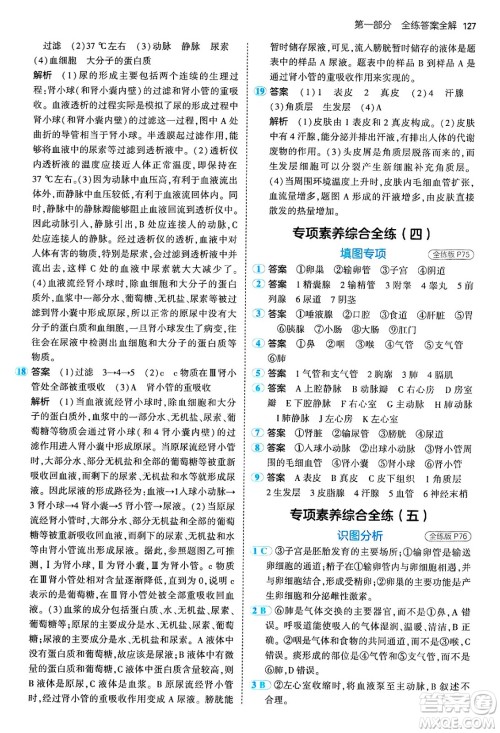 首都师范大学出版社2024年秋初中同步5年中考3年模拟七年级生物上册鲁科版山东专版答案 首都师范大学出版社2024年秋初中同步5年中考3年模拟七年级生物上册鲁科版山东专版答案