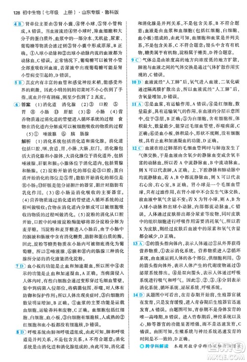 首都师范大学出版社2024年秋初中同步5年中考3年模拟七年级生物上册鲁科版山东专版答案 首都师范大学出版社2024年秋初中同步5年中考3年模拟七年级生物上册鲁科版山东专版答案