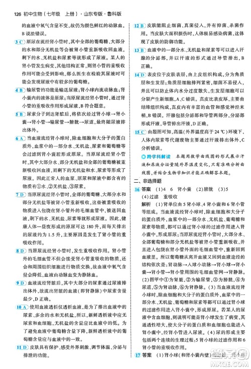 首都师范大学出版社2024年秋初中同步5年中考3年模拟七年级生物上册鲁科版山东专版答案 首都师范大学出版社2024年秋初中同步5年中考3年模拟七年级生物上册鲁科版山东专版答案
