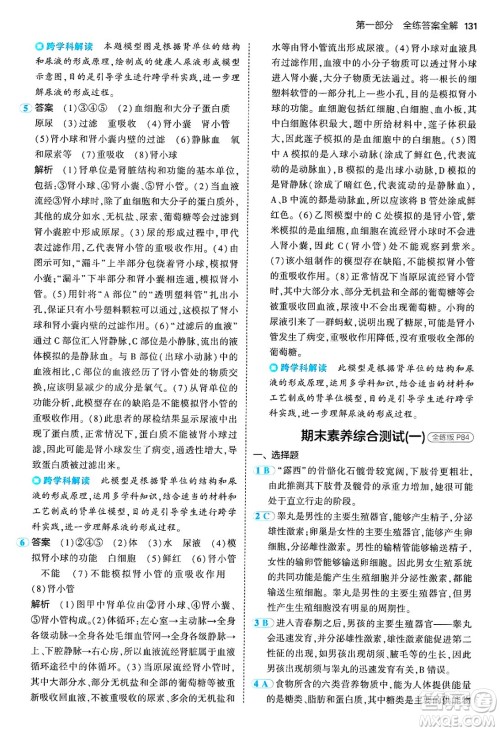 首都师范大学出版社2024年秋初中同步5年中考3年模拟七年级生物上册鲁科版山东专版答案 首都师范大学出版社2024年秋初中同步5年中考3年模拟七年级生物上册鲁科版山东专版答案