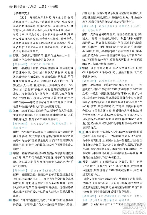 四川大学出版社2024年秋初中同步5年中考3年模拟八年级语文上册人教版答案 四川大学出版社2024年秋初中同步5年中考3年模拟八年级语文上册人教版答案