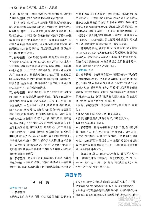 四川大学出版社2024年秋初中同步5年中考3年模拟八年级语文上册人教版答案 四川大学出版社2024年秋初中同步5年中考3年模拟八年级语文上册人教版答案