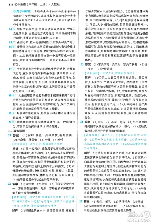 四川大学出版社2024年秋初中同步5年中考3年模拟八年级生物上册人教版答案