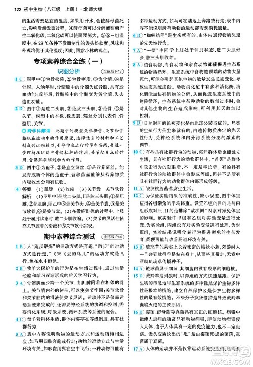 四川大学出版社2024年秋初中同步5年中考3年模拟八年级生物上册北师大版答案