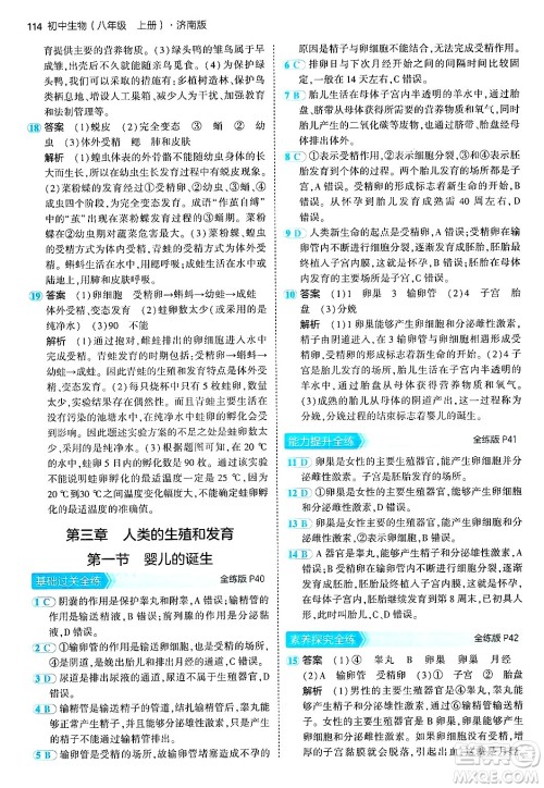 四川大学出版社2024年秋初中同步5年中考3年模拟八年级生物上册济南版答案 四川大学出版社2024年秋初中同步5年中考3年模拟八年级生物上册济南版答案