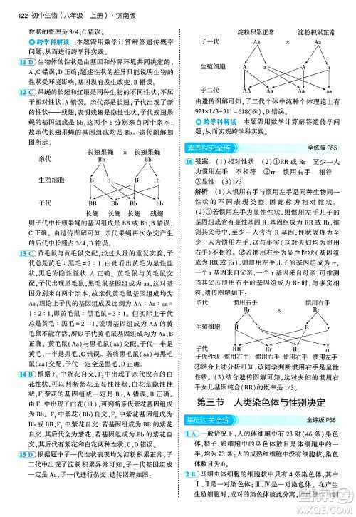 四川大学出版社2024年秋初中同步5年中考3年模拟八年级生物上册济南版答案