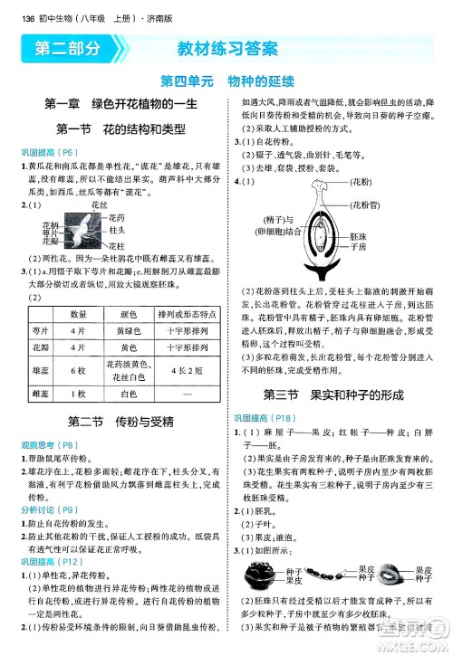 四川大学出版社2024年秋初中同步5年中考3年模拟八年级生物上册济南版答案