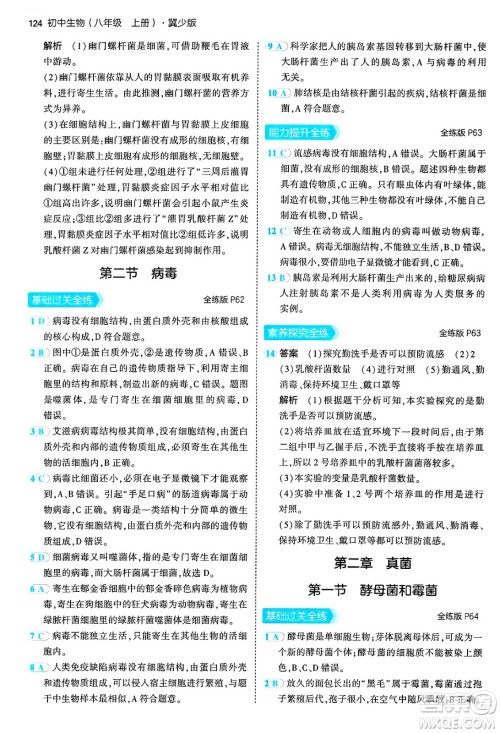 四川大学出版社2024年秋初中同步5年中考3年模拟八年级生物上册冀少版答案