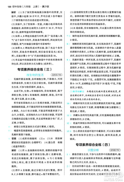 四川大学出版社2024年秋初中同步5年中考3年模拟八年级生物上册冀少版答案