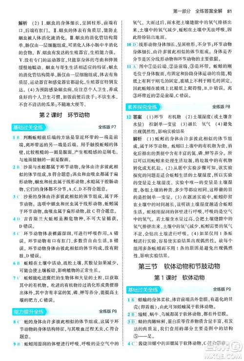 首都师范大学出版社2024年秋初中同步5年中考3年模拟八年级生物上册鲁科版山东专版答案