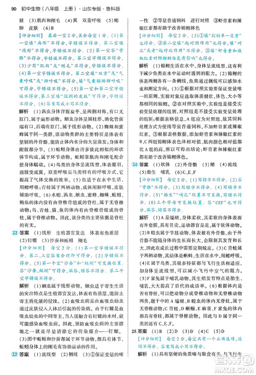 首都师范大学出版社2024年秋初中同步5年中考3年模拟八年级生物上册鲁科版山东专版答案