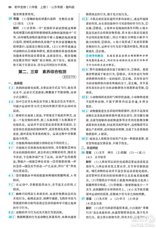 首都师范大学出版社2024年秋初中同步5年中考3年模拟八年级生物上册鲁科版山东专版答案 首都师范大学出版社2024年秋初中同步5年中考3年模拟八年级生物上册鲁科版山东专版答案